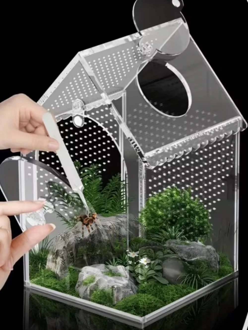 PET HOUSE Acrylic Terrarium Habitat with Rock Decor USB Dimmable Light & Heater